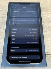 Apple iPhone 13 Pro 256GB Graphite Unlocked MLQM3LL/A iOS 18