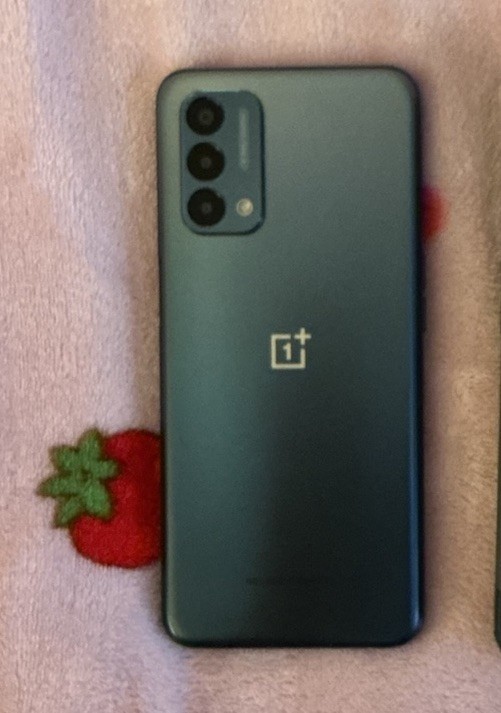 OnePlus phone