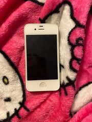 Apple iPhone 3GS – 8 GB – White (Unlocked)