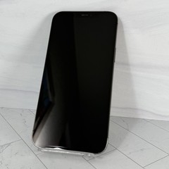 Apple iPhone 12 Pro Max 256 GB Graphite Unlocked Verizon AT&T T-Mobile #A77