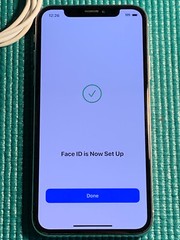 Apple iPhone X – 256GB – Silver (Unlocked) A1865 (CDMA + GSM)