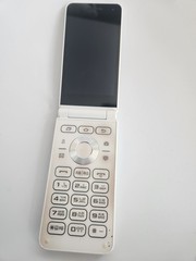 Samsung Galaxy Folder2 32G SM-G160N Unlocked LTE 2021.ver White Used