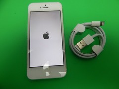 Apple iPhone 5 16GB A1428 (Consumer Cellular) White FREE BUNDLE & SHIPPING