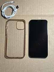 Apple iPhone 12 Pro Max 128GB Pacific blue unlocked A2342 READ