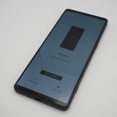 [EXC] Sony Xperia 1 V XQ-DQ44 Khaki Green 512GB 16GB RAM Dual SIM Unlocked