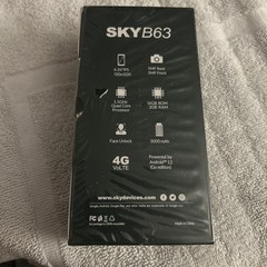 Sky Devices B63,Grey, 4G, 16GB Storage Phone