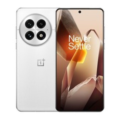 OnePlus 13 Smarter AI (12GB RAM, 256GB Storage Arctic Dawn) Global Version