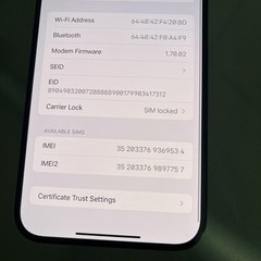 Apple iPhone 15 Pro Max – 256GB (Dish Boost) Works Great – READ DESCRIP! (#T153)