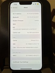 jailbroken ios 16.0 iphone 14 256 gb blue pokemon go hack !! read!! 👇👇👇