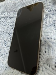 Apple iPhone 14 Pro 256GB Gold Unlocked iOS 6.1in 48MP A1984 Used