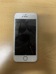 Apple iPhone SE – 16GB – Silver (Verizon) A1662 (CDMA + GSM)