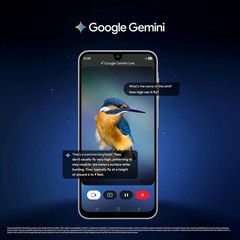 Samsung Galaxy M17 5G (Black, 8GB RAM, 128GB ) Exynos 1330 Global Version.