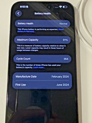 Apple iPhone 15 Pro Max 512GB Unlocked Black Titanium 91% Battery Health