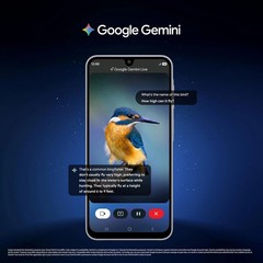 Samsung Galaxy M17 5G (Black, 6GB RAM, 128GB ) Exynos 1330 Global Version.
