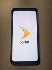 Samsung Galaxy S8 Active 64 GB Meteor Gray (Sprint)