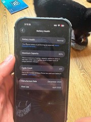 Apple iPhone 16 Pro Max 256GB Desert Unlocked eSIM CRACKED FUNCTIONAL