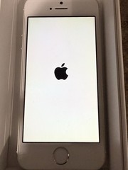 Apple iPhone 5s 16 GB Silver iOS 7.1 Unlocked With Original Box