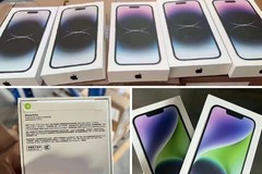 New Apple iPhone 13 Mini/iPhone SE/12 Pro Max/14 Pro Max 5G 2 YEAR WARRANTY Lot