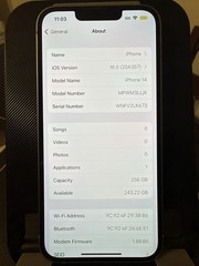jailbroken ios 16.0 iphone 14 256 gb blue pokemon go hack !! read!! 👇👇👇