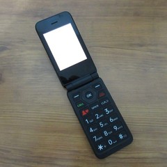 IRIS Easy Flip 8GB Black 4G LTE Flip Cell Phone Excellent Cond. Budget-Friendly