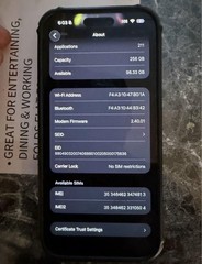 Apple iPhone 16 Pro Max 256GB Desert Unlocked eSIM CRACKED FUNCTIONAL