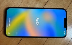 Apple iPhone 13 Pro Max – 128GB – Green (Xfinity)