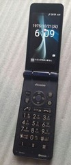 SHARP AQUOS SH-01J DOCOMO ANDROID Flip Phone Keitai UNLOCKED Blue