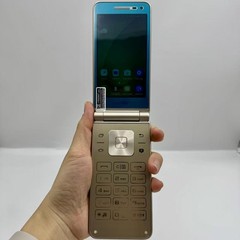 Samsung Galaxy Folder 2 SM-G1600 Unlocked 4G 16GB 3.8 in LTE Dual SIM Flip Phone