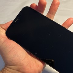 Apple iPhone 12 Pro Max – 128GB (Unlocked) ONE DEAD PIXEL -2.5x dots (T885)