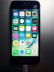 Apple iPhone SE – 16 GB Space Gray RARE iOS 10.2 With FLAPPY BlRD Read DESC