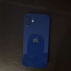 Apple 12