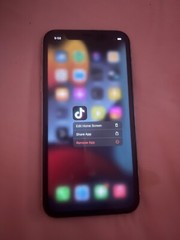 iPhone 13 Pro Max With TikTok App 256 GB