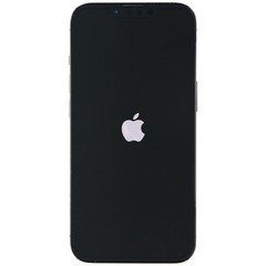 Apple iPhone 13 Pro (6.1-inch) Smartphone (A2483) Unlocked – 1TB / Graphite