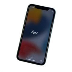 Apple iPhone 11 64GB/128GB – Unlocked, Mint Condition, Free Shipping!