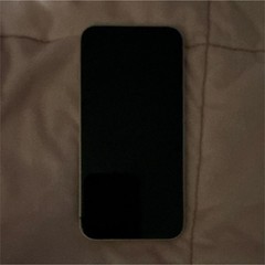 Apple iPhone 13 Pink Dual Rear Cameras