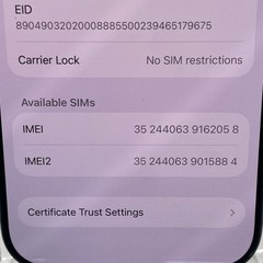 Unlocked Apple iPhone 17 Pro 256GB 26.4.1 Deep Blue MG7M4LL/A