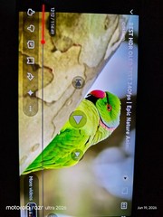 Vivo X200 Ultra (Red) Snapdragon 8 Elite Multi-Core Processor, 512G/16G Ram