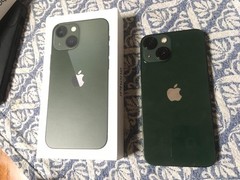 Apple iPhone 13 mini 256GB Green Green MINT All Original