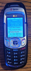 LG PM325 – Navy Blue and Silver ( Sprint ) Super Rare Slider Phone – READ