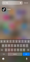 iPhone 13, UNLOCKED, 128 GB In 10/10 Perfect Condition TikTok Installed!!