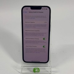 Unlocked Apple iPhone 13 Pro 256GB 18.6.2 Alpine Green MNDJ3LL/A